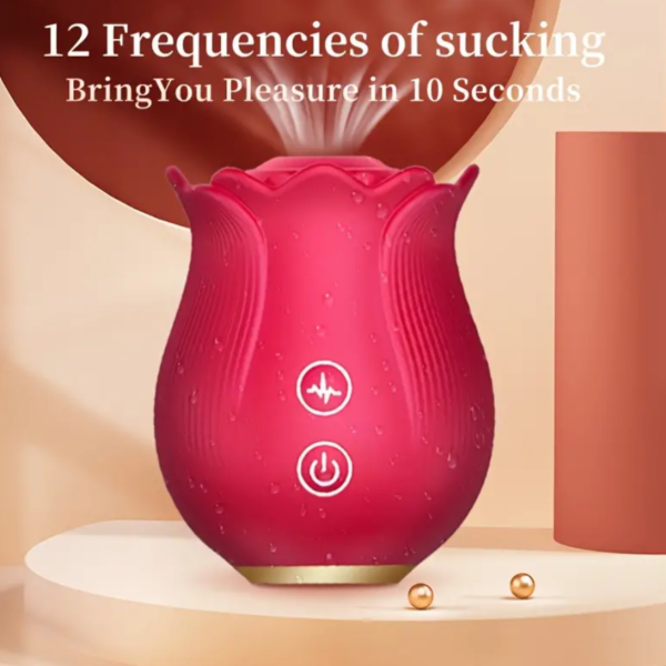SUCCIONADOR ROSA 12 MODOS USB